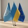 Як оцінити якість друку прапорів перед замовленням: матеріали, кольори й досвід підрядника